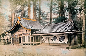 Images Dated 17th November 2011: Typical Japanese pagodas