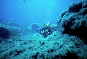 Images Dated 6th November 2009: Underwater immersion