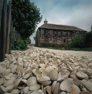 Images Dated 22nd February 2008: Uninhabited house reachable by a street of seashells