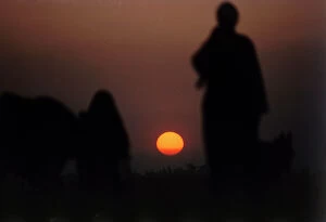 Images Dated 12th October 2011: Upper Egypt, Dandara, at sunset on their donkeys laden peasants returning from work in the fields