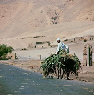 Images Dated 7th October 2011: Upper Egypt farmers along the roads in the countryside, in villages along the banks of the Nile