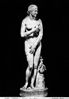 Images Dated 26th May 2010: Venus, marble, National Archaeological Museum, Venice