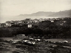 Images Dated 30th March 2011: View of Bordighera towards the sea. In the foreground, washing hanging out to dry