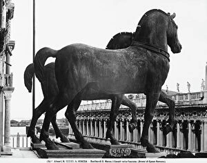Images Dated 27th December 2012: Side view of the famous gilded bronze horses located on the faade of St. Mark's Basilica, now in St