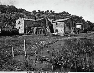 Images Dated 3rd April 2012: View of some farmhouses on the shores of Lake Trasimeno. Lake vegetation is in the foreground
