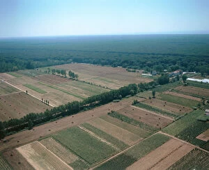 Images Dated 29th August 2007: View of the Migliarino Park and the Tombolo zone