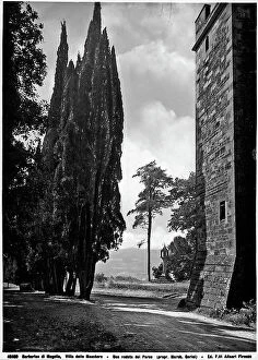 Images Dated 2nd April 2012: View of a path in the park of Villa delle Maschere in Mugello