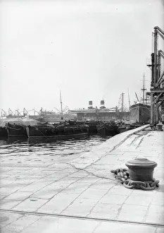 Vue du port de Trieste.