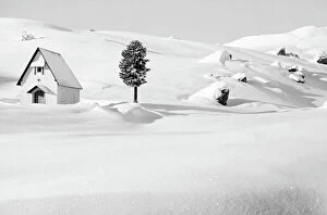 Images Dated 21st September 2011: View of snowy mountain landscape with house and tree, Cortina d'Ampezzo