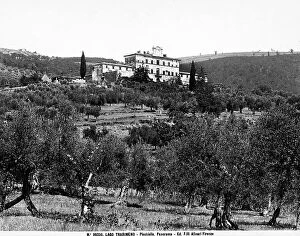 Images Dated 22nd September 2010: View of the town of Pischiello, environs of Lake Trasimeno. Below are some olive trees