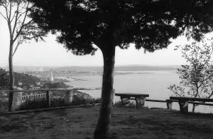 Vista de Trieste