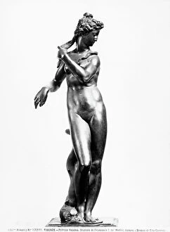 Images Dated 30th July 2009: Front view of Venus, work located in the Small Study of Francesco I, Palazzo Vecchio or Signoria