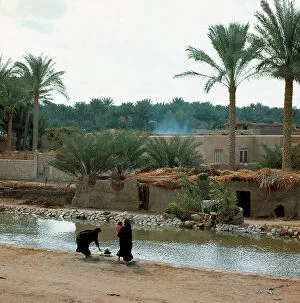 Images Dated 13th October 2011: A village in the area of Fayoum