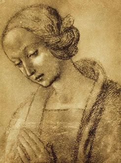 Images Dated 9th March 2011: The Virgin, drawing by Raphael. Gabinetto dei Disegni e Stampe, Uffizi Gallery, Florence