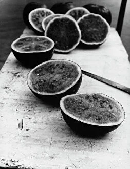 Images Dated 3rd May 2010: 'Watermelons'