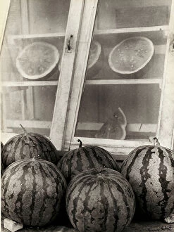 Images Dated 30th January 2009: Watermelons