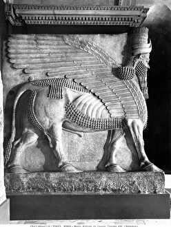 Images Dated 28th May 2008: Winged bull ('Lamassu'), relief taken from the Palace of Sargon II of Assyria in Khorsabad