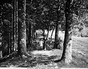 Images Dated 25th July 2011: A woman and a little girl walking along a path in the woods of Vallombrosa