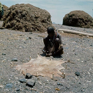 Images Dated 6th July 2009: Woman of Turkana ethnicity who is placing a goat skin in the sun