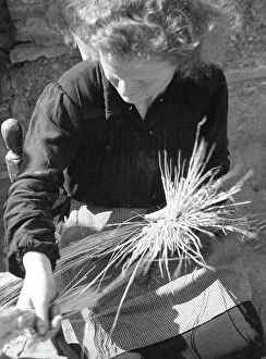 Images Dated 9th October 2008: Woman working with straw