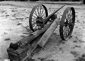 Images Dated 2nd December 2010: WWII Cannon